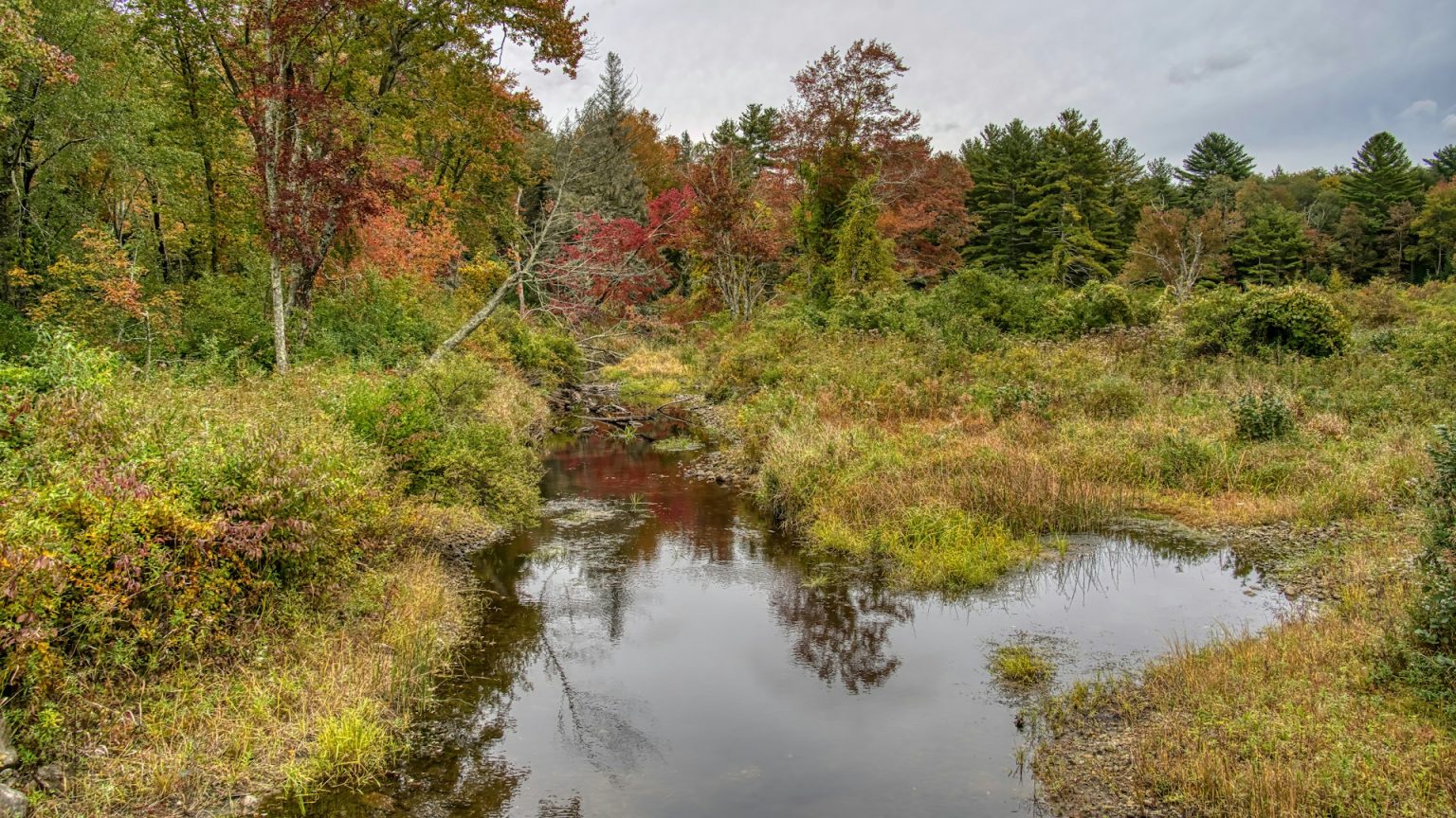 high-school-habitat-restoration-a-mini-series-ansonia-nature-center
