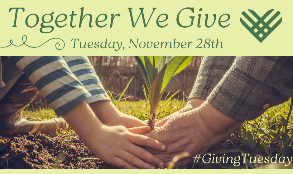 Together We Give. Tuesday, November 28th. Close-up Image of two pairs of hands, one young and one old, pressed around a just-planted sapling. Warm golden light washes over everything.